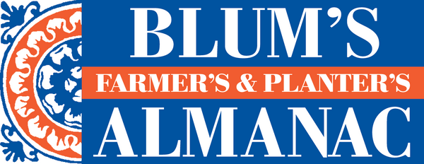 Blum's Almanac logo